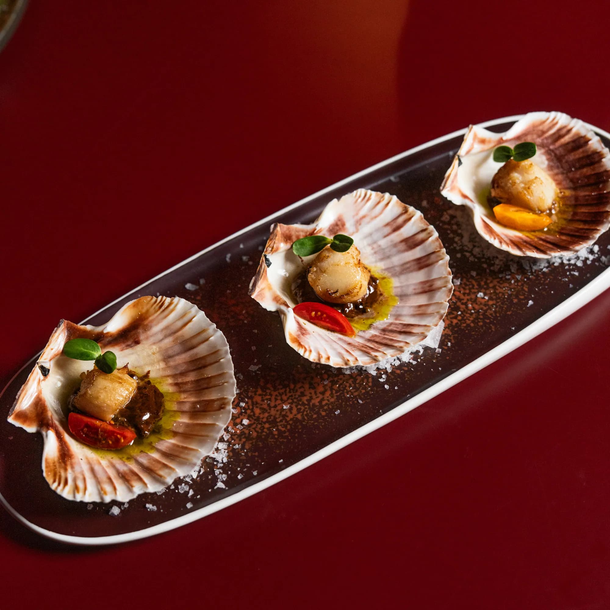 Scallops served in the shell